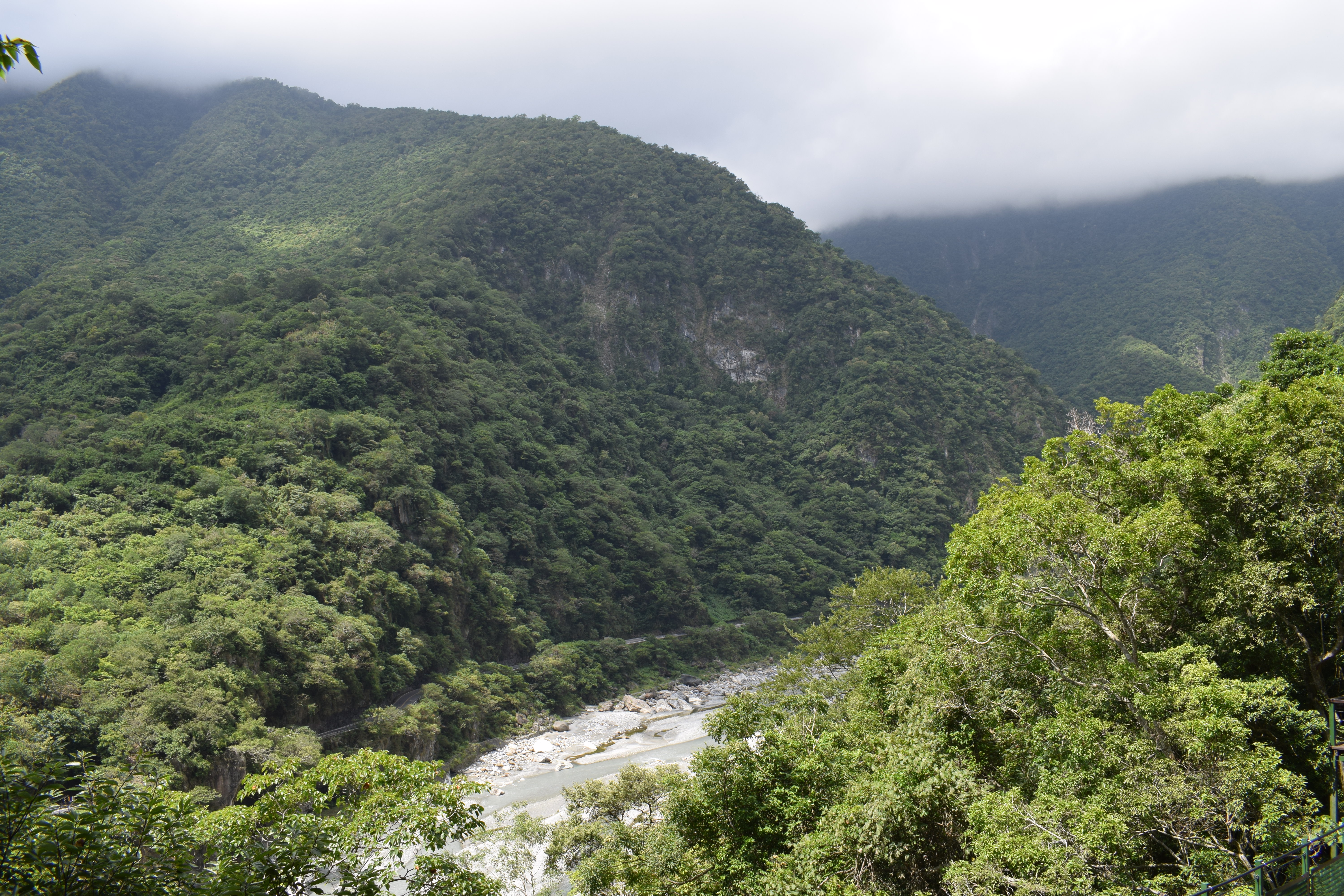 taroko