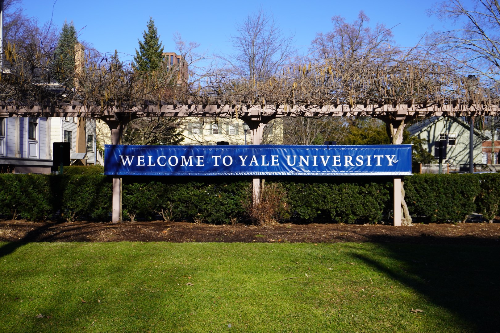 Semester at Yale